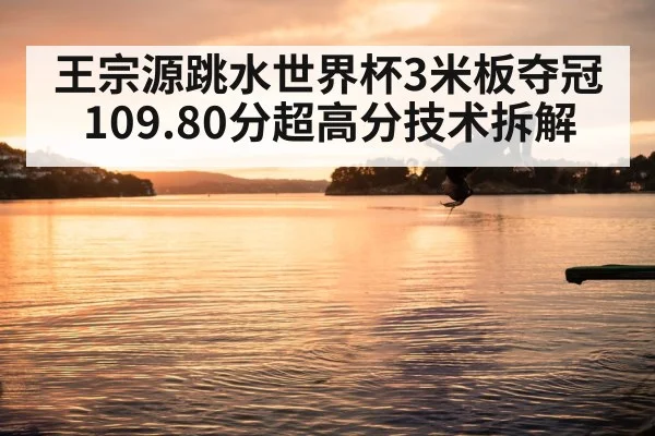 王宗源跳水世界杯3米板夺冠 109.80分超高分技术拆解