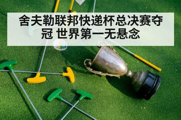 舍夫勒联邦快递杯总决赛夺冠 世界第一无悬念