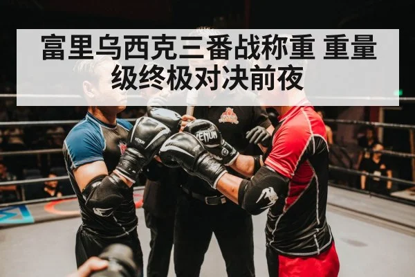 富里乌西克三番战称重 重量级终极对决前夜
