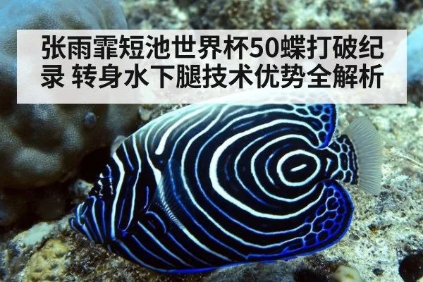 张雨霏短池世界杯50蝶打破纪录 转身水下腿技术优势全解析